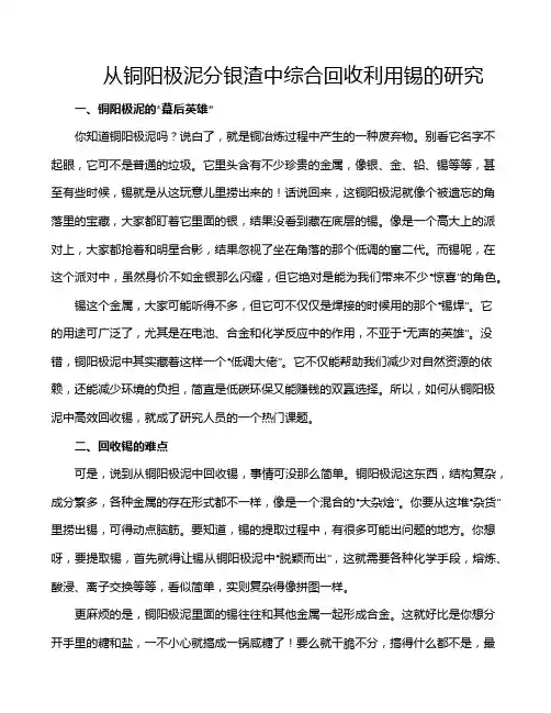 从铜阳极泥分银渣中综合回收利用锡的研究