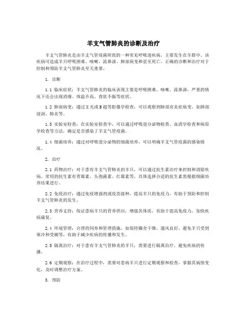 羊支气管肺炎的诊断及治疗