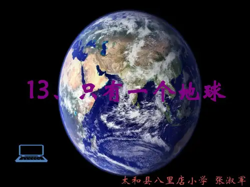 13、《只有一个地球》课件