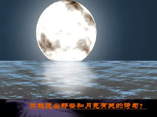 《水调歌头·明月几时有》优秀课件