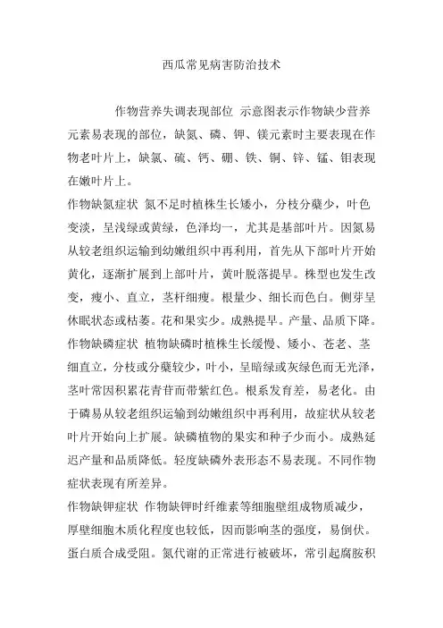西瓜常见病害防治技术