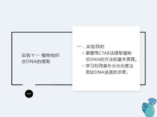 实验8植物组织总DNA的提取