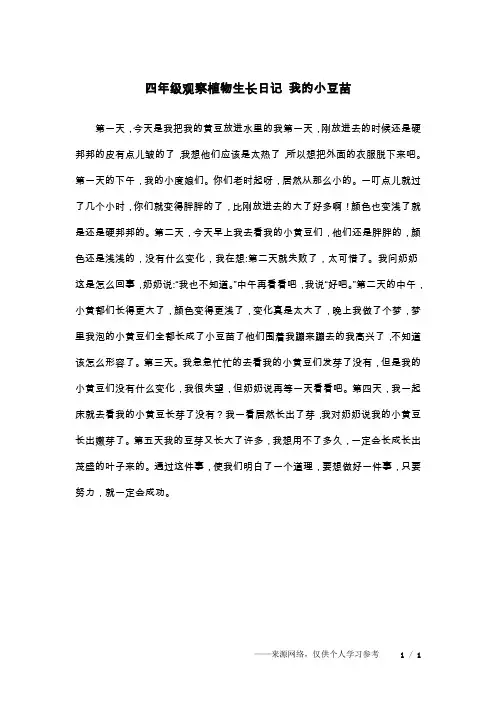 四年级观察植物生长日记 我的小豆苗