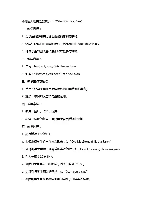 幼儿园大班英语教案设计What can you see