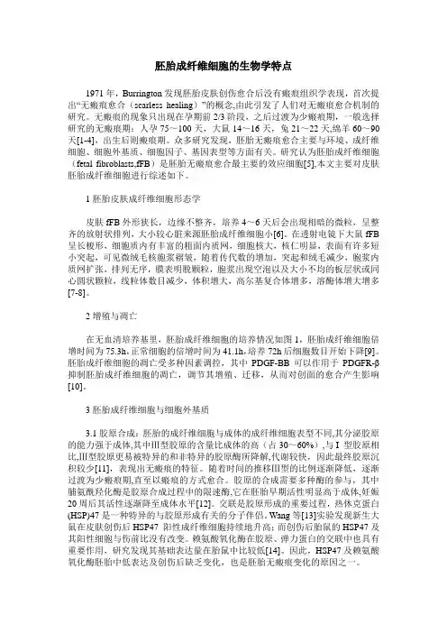 胚胎成纤维细胞的生物学特点
