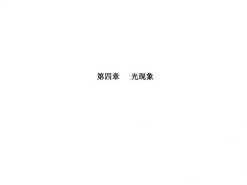 人教版八年级上册物理第四章光现象复习课件(共55张PPT)