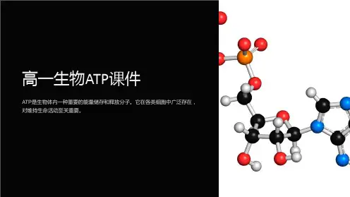 高一生物ATP课件