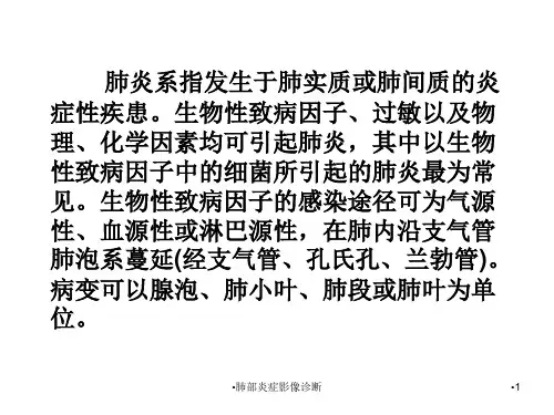 肺部炎症影像诊断课件