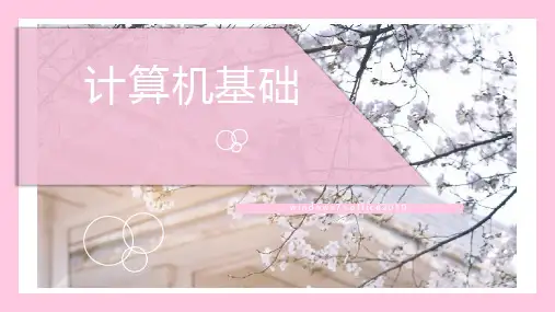 计算机应用基础之1.3微型计算机的输入输出设备