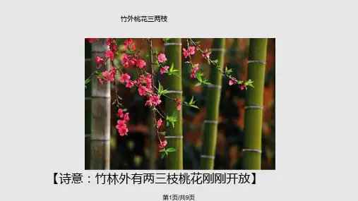 惠崇《春江晚景》PPT课件PPT课件