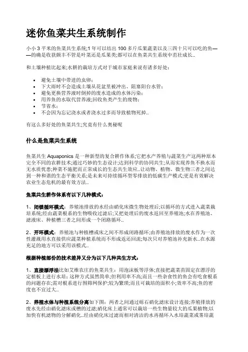 迷你鱼菜共生系统制作