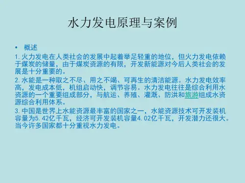 水力发电原理与案例.