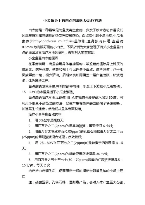 小金鱼身上有白点的原因及治疗方法