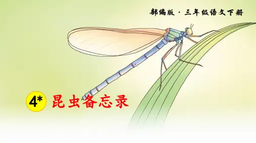 部编版三年级语文下册第4课《昆虫备忘录》优质课件