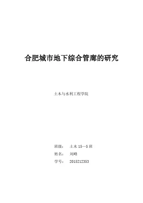 合肥城市地下综合管廊的研究