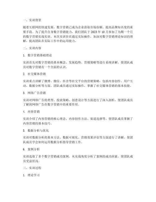 数字营销实战实训报告