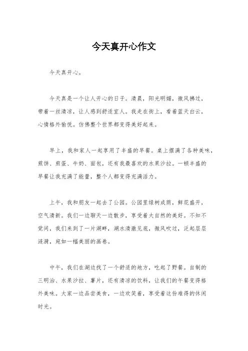 今天真开心作文