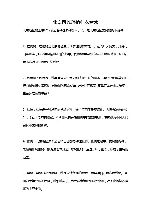北京可以种植什么树木