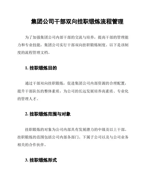 集团公司干部双向挂职锻炼流程管理
