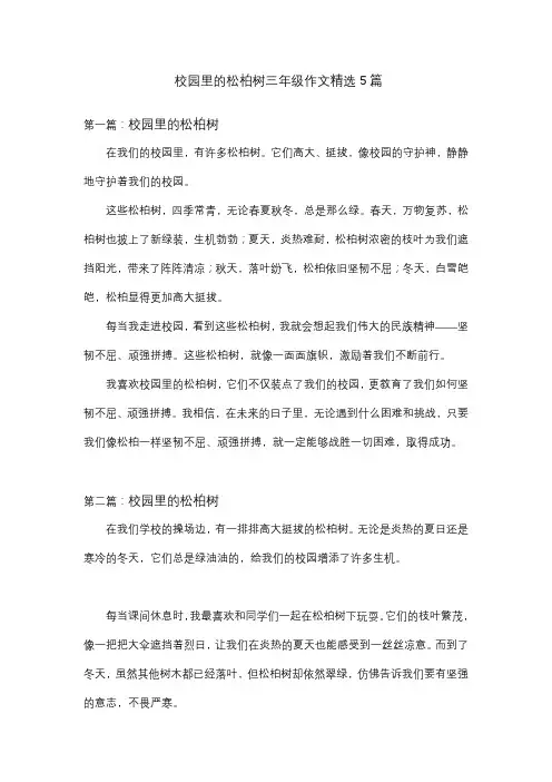 校园里的松柏树三年级作文精选5篇