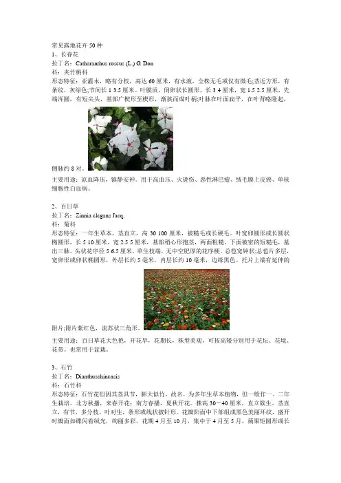 常见露地花卉50种