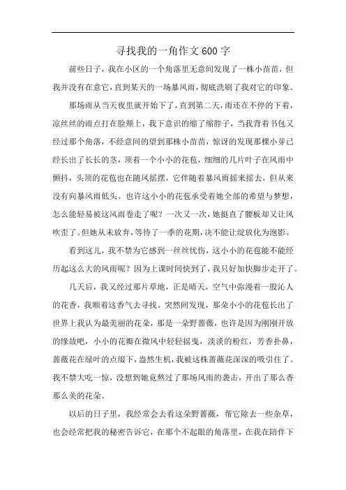 寻找我的一角作文600字