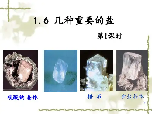 浙教版九年级上册科学几种重要的盐 ppt课件