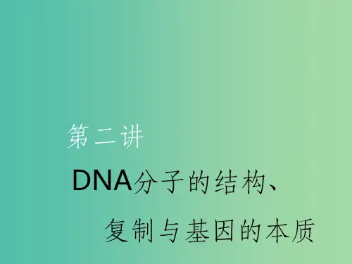 (新课改省份专用)202x版高考生物一轮复习 第六单元 第二讲 DNA分子的结构、复制与基因的本质