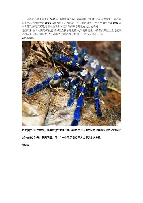 18种濒危动物