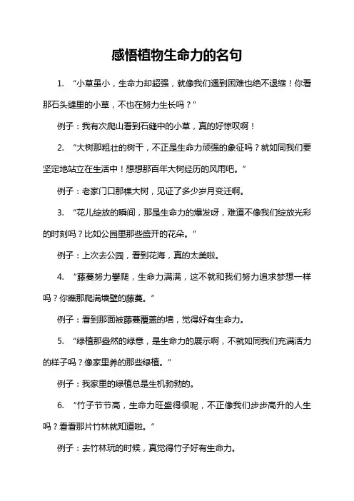 感悟植物生命力的名句