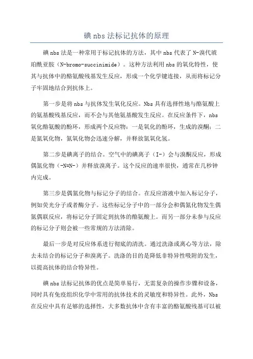 碘nbs法标记抗体的原理