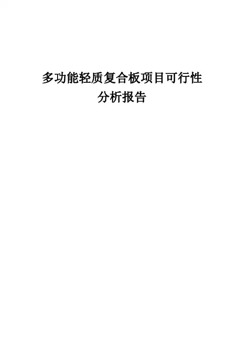 2024年多功能轻质复合板项目可行性分析报告