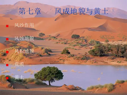 《地貌学及第四纪地质学》第七章  风成地貌与黄土