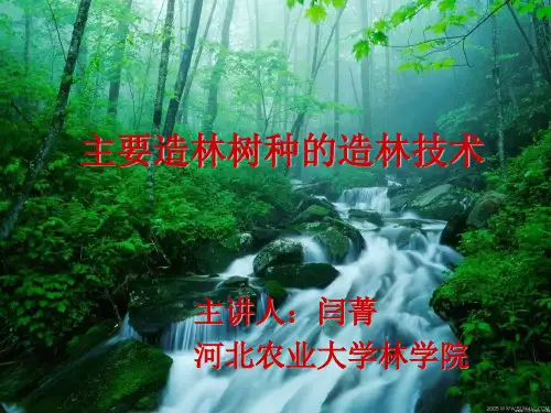 主要造林树种的造林技术