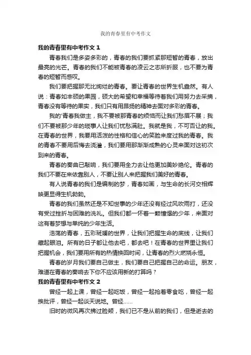 我的青春里有中考作文