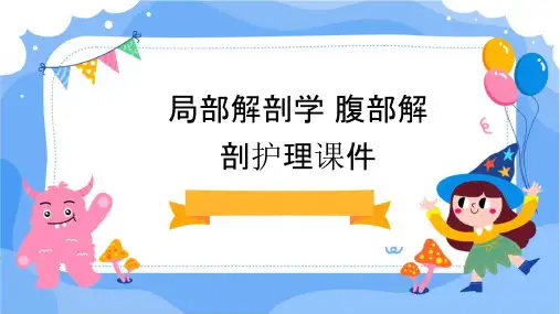 局部解剖学 腹部解剖护理课件