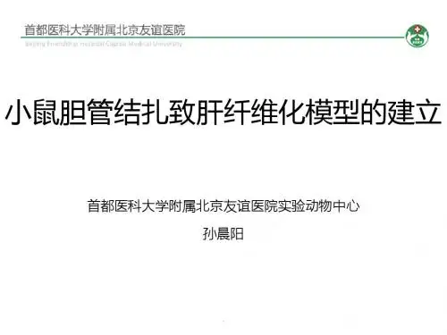 小鼠胆管结扎手术操作PPT课件