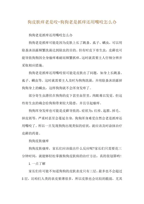 狗皮肤痒老是咬-狗狗老是抓痒还用嘴咬怎么办