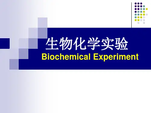 生物化学实验-电泳