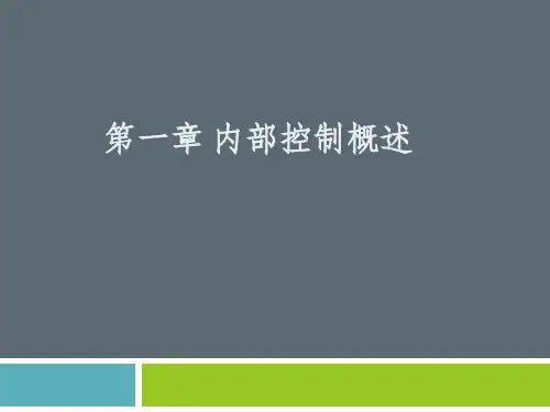 《内部控制与风险管理》PPT3