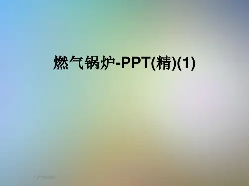 燃气锅炉-PPT(精)(1)
