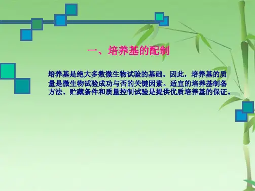 培养基的配制及质量控制课件(共44张PPT)