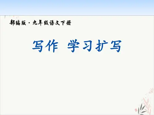 学习扩写ppt课件(完美版)