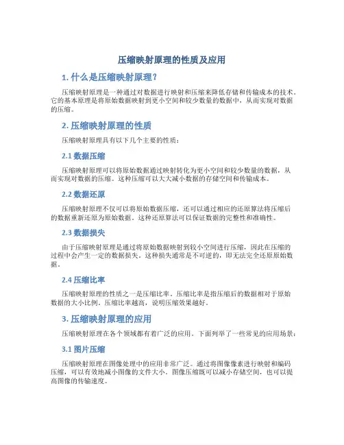 压缩映射原理的性质及应用