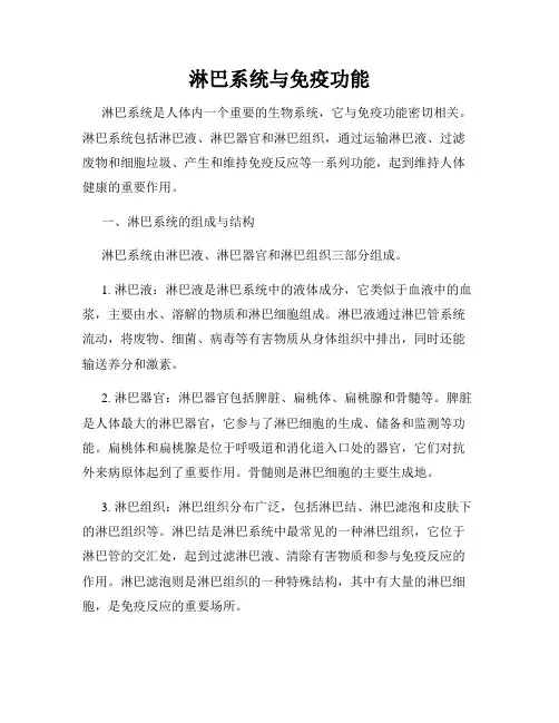 淋巴系统与免疫功能