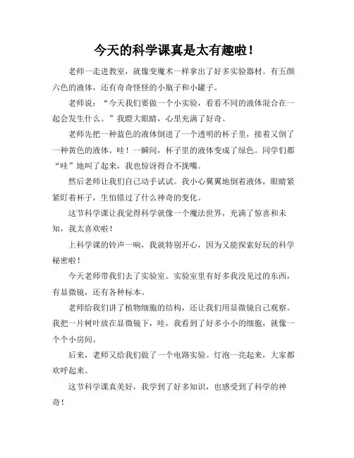 美好的科学课作文500字