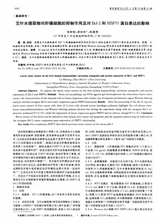 艾叶水提取物对肝癌细胞的抑制作用及对Bcl-2和HSP70蛋白表达的影响
