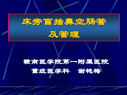 鼻胃肠管盲插方法及管理
