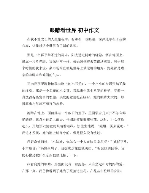 眼睛看世界 初中作文