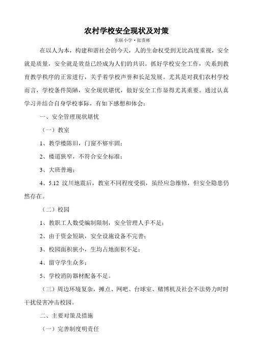 农村学校安全现状及对策